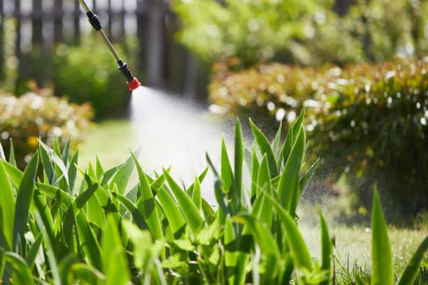 24/7 Emergency Mosquito Control experts in Gold Key Lake, PA